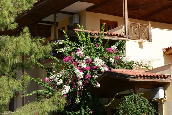small bungalow