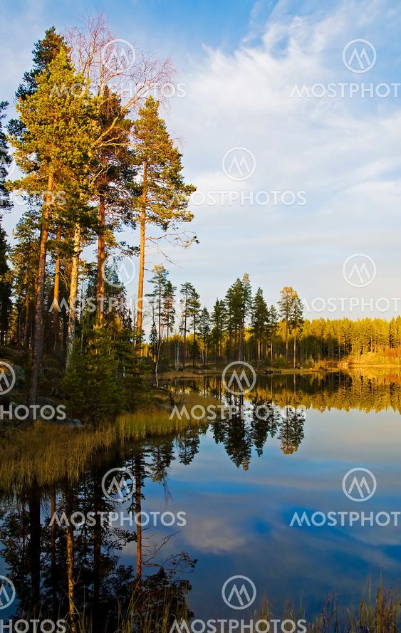 tranquility