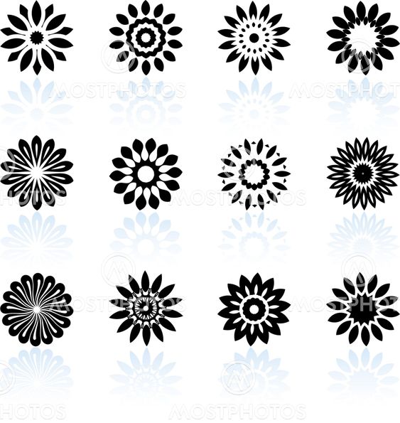 floral design collection