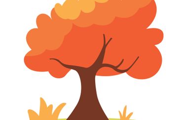 Natural Orange Tree in Forest in Autumn Fall Season