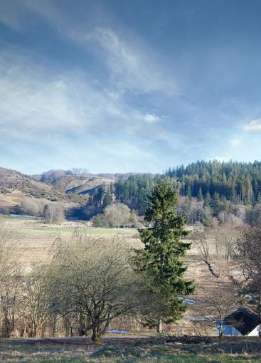 Trees, mountain and environment with village in nature...