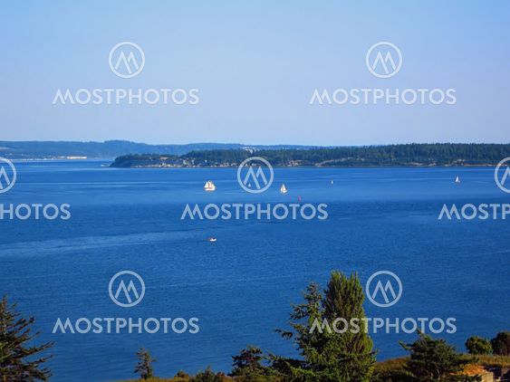 Boats On The Water
