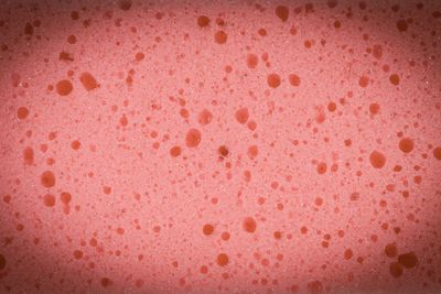 Sponge for washing disk texture background