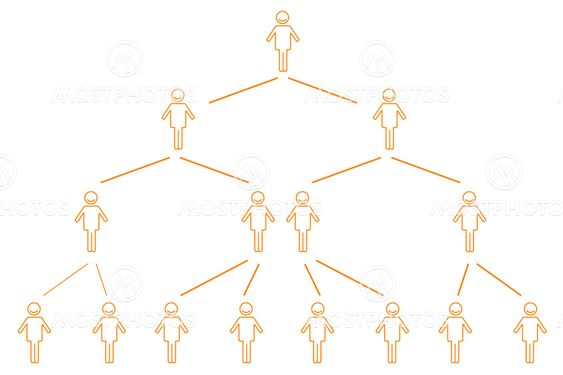 organization chart