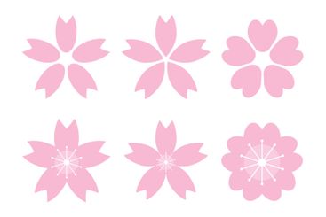 Cherry blossom icon set. Petals of spring season. Vector.