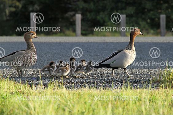 family excursion
