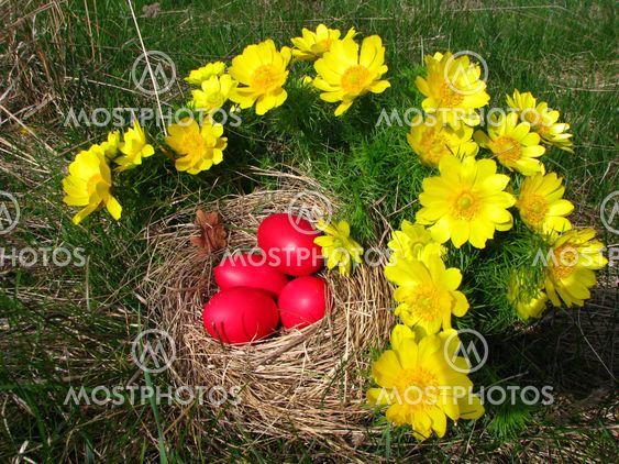 Easter eggs