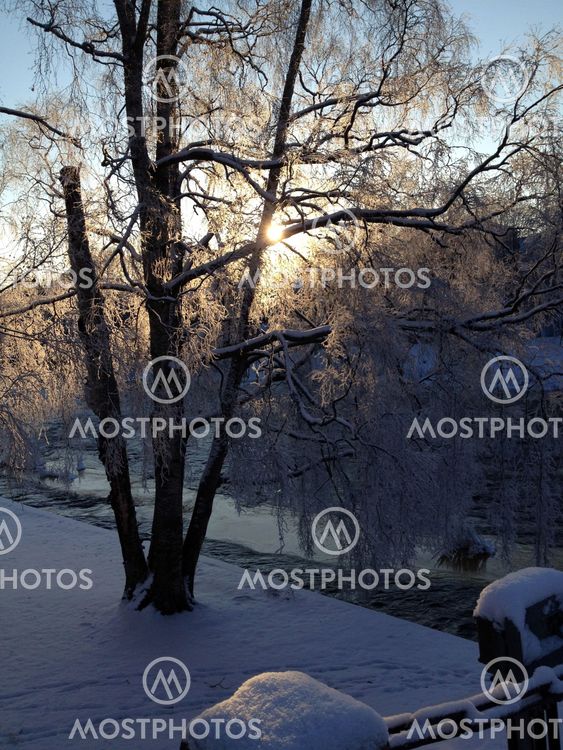 Vinterfrost