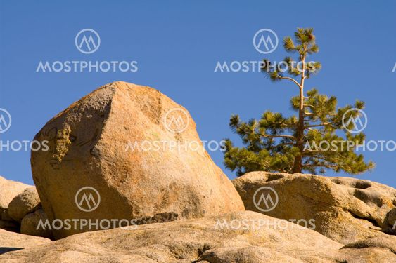 Rock face