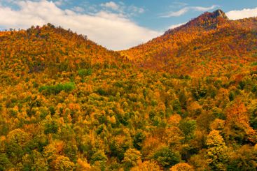 Mountains and forest during autumn