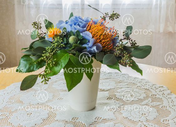 Hydrangeas
