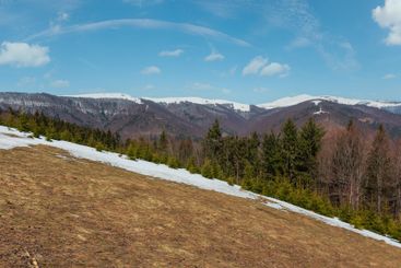 Early spring Carpathian mountains