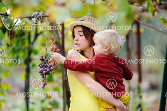 Young beautiful girl and little child picking mellow...