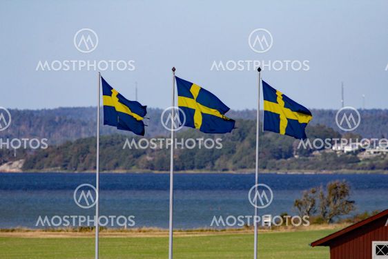 svenska flaggor