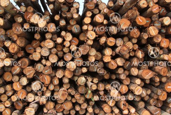 A pile of wood.