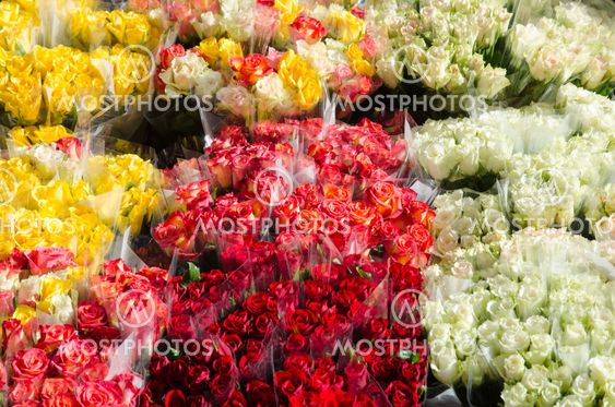 Colorful rose bouquets