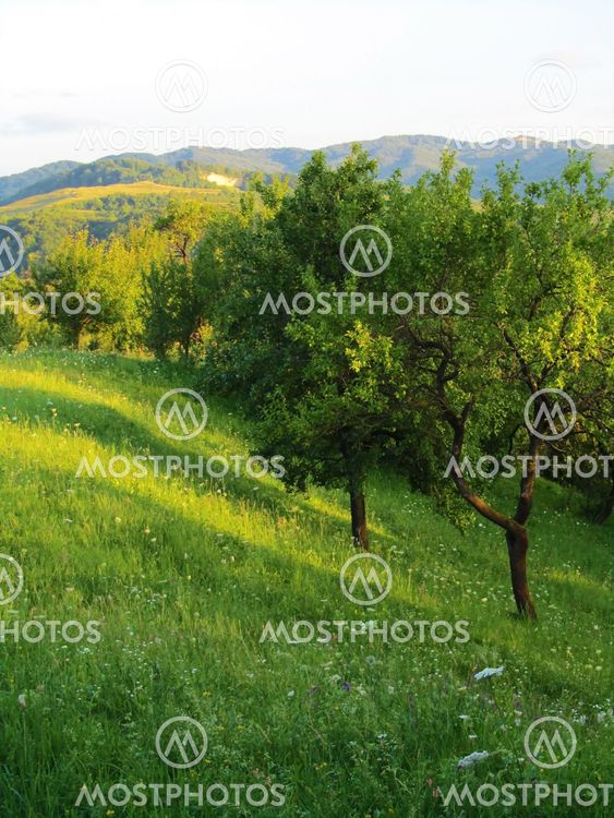 Green hill